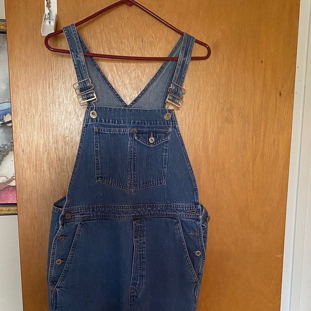 GAP Blue Denim Basics overalls